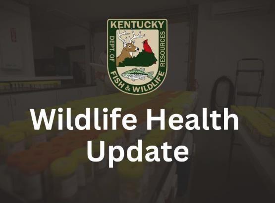 Kentucky Fish and Wildlife expands CWD Surveillance Zone to include nine new countie